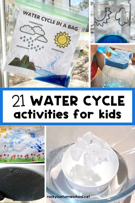 Want to make learning about the water cycle fun for kids? Here are 21 water cycle activities that are full of creative ideas, resources, and free printables! #watercycle #science Water Cycle Diorama, Preschool Water Cycle, Water Cycle Game, Water Cycle Anchor Chart, Water Cycle Craft, Water Cycle Lessons, Water Cycle For Kids, Water Cycle Model, Water Cycle Poster