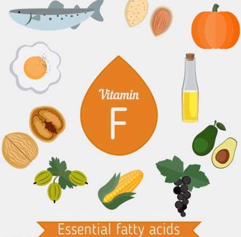 Vitamin F is not a vitamin in the traditional sense, but rather a term used for two fats — alpha-linolenic acid (ALA) and linoleic acid (LA). They are essential fatty acids (EFAs) and are required for regular body functions and are very importa Body Functions, Deep Fried Food, Vitamin F, Dry Mouth, Brain And Heart, Lack Of Motivation, Peanut Oil, Cell Membrane, Flaxseed Oil