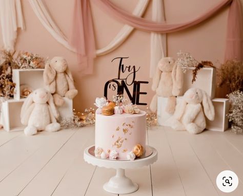 Bunny Cake Smash Photoshoot, Bunny Smash Cake Girl, Bunny Themed Cake, Bunny Cake Smash, One Cake Smash, Background Cake, Themed Cake Smash, Cake Smash Inspiration, Cake Smash Theme