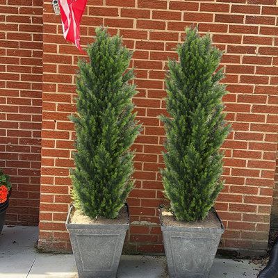 The Topiary Cedar is UV-rated for Outdoor or Indoor use. Perfect for accenting doorways walkways, ledges, steps, or paths. Whether you live in the North or South, the synthetic material is made to reduce the effects of the Sun and is suited for most weather in the US. You can use the tree in the original pot it comes in or easily burry the original pot into another decorative planter or straight into the ground. This artificial tree is far less hassle than the care and maintenance of a real tree Potted Christmas Tree Outdoor, Artificial Shrubs Outdoor, Cedar Plant, Boxwood Tree, Tree In Pot, Potted Christmas Trees, Tree Planters, Plant In Pot, Artificial Topiary