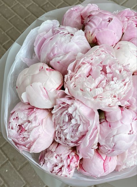 Pink Peony Bouquet Wedding, May Aesthetic, Light Pink Peonies, White Peonies Bouquet, Pale Pink Peonies, Pink Peonies Bouquet, Flower Boquet, Painting The Roses Red, House Smell Good