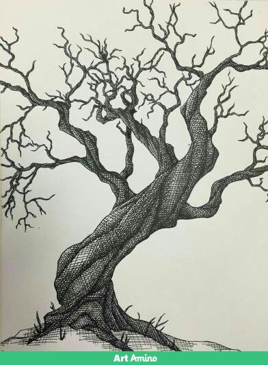 Tree Of Life Sketch, Tree Of Life Illustration, Tree Tattoo Art, Tree Of Life Artwork, Tree Drawings Pencil, Twisted Tree, Tree Tattoo Designs, Tree Sketches, Drawing Tattoo