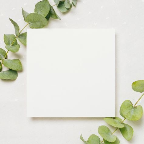 Leaves twigs on the corner of white wedding card against backdrop Photo | Free Download White Wedding Card, Photo Frame Wallpaper, Background Frame, Paper Background Design, Instagram Frame Template, Frame Wedding, Artificial Leaf, 패턴 배경화면, Framed Wallpaper