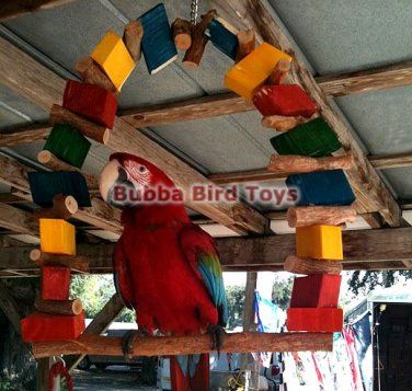 Monster Size Swing, Large Bird Swing, large parrot swing, parrot toys, macaw toy, made in USA Macaw Toys Diy, Bird Carrier, Best Pet Birds, Diy Bird Cage, Diy Bird Toys, Animal Behaviorist, Bird Barn, Bird Stand, Flamingo Bird