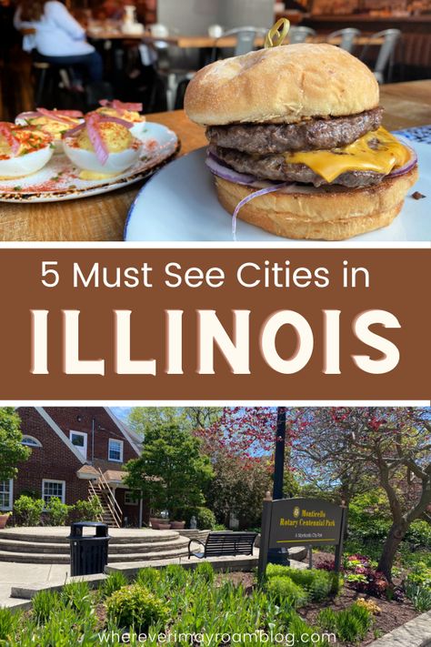 must-see-cities-in-the-state-of-illinois Hidden Gems In Illinois, Utica Illinois, Travel Illinois, Reindeer Farm, Lincoln Statue, Belleville Illinois, Wheaton Illinois, River Resort, Illinois Travel