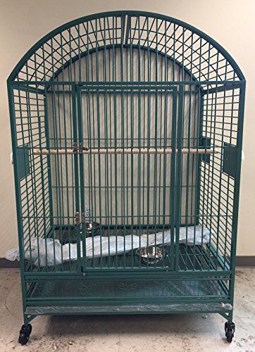 XX Extra Large Dome Top Bird Parrot Cage With 6mm Extra S... Parrot Cage Ideas Design, Macaw Cage, Large Parrot Cage, Diy Bird Cage, Bird Cage Stand, Parakeet Cage, Large Bird Cages, Bird Parrot, Bird Aviary