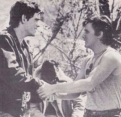 the outsiders | Tumblr Young Matt Dillon, Ralph Macchio The Outsiders, Outsiders Movie, The Outsiders Cast, Stay Gold Ponyboy, The Outsiders Greasers, Dallas Winston, The Outsiders 1983, Emilio Estevez