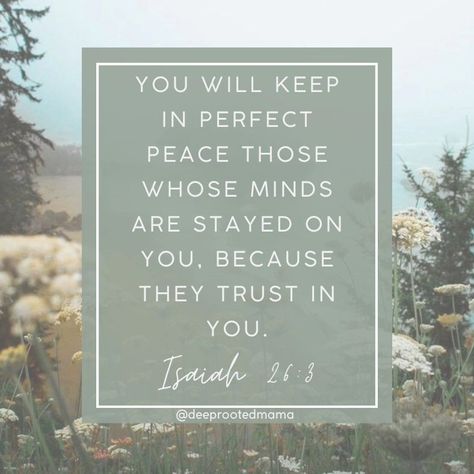 Let's pray God's Word 🙏🏽 Lord, when I keep my focus on you, I have perfect peace that surpasses understanding. And the more I keep my mind stayed on you, the more I trust you. As I continue to grow my trust in you, I ask that you continue to grow your peace in me. Amen. #verse #verseoftheday #bibleverse #scripture #letspray #prayingmama #christianmama #prayer #GodsWord #prayscripture Perfect Peace Scripture, Peace Scripture, Let's Pray, Perfect Peace, Good Shepherd, Trust You, The Good Shepherd, I Trusted You, I Trust