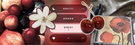 twitter header Floral Twitter Header, Cherry Header, Red Header Aesthetic, Twitter Icon Aesthetic, Red Header Twitter, Red Twitter Header, Red Header, Layout Twitter, Whatsapp Theme