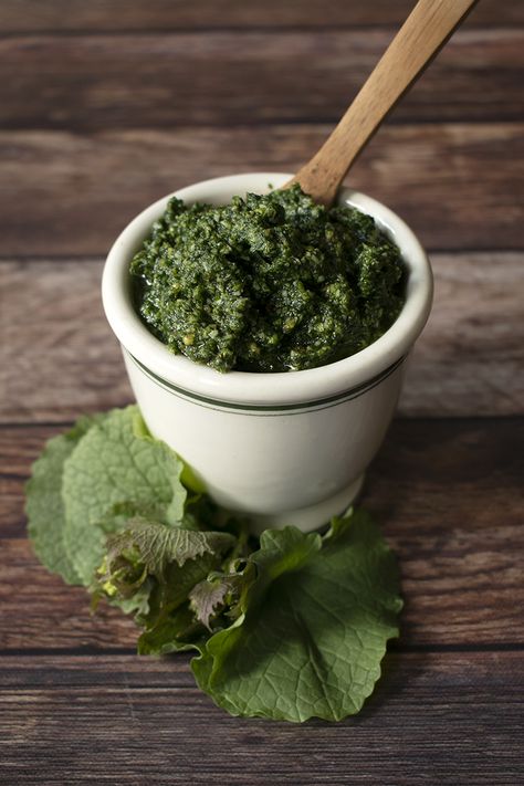 Garlic Mustard - The Tastiest Invasive Species You Can Eat Nettle Soup, Garlic Mustard, Wild Food Foraging, Foraging Recipes, Edible Wild Plants, Foraged Food, Herb Recipes, Nutritious Food, Wild Edibles