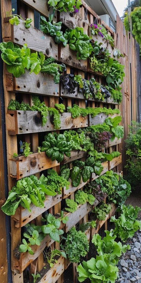 Sustainable Vegetable Garden, Vegetable Patch Ideas, Patio Vegetable Garden Ideas, Raised Vegetable Garden Ideas, Dream Vegetable Garden, Vegetable Garden Design Layout, Fruit And Vegetable Garden, Home Vegetable Garden Design, Vertical Vegetable Gardens