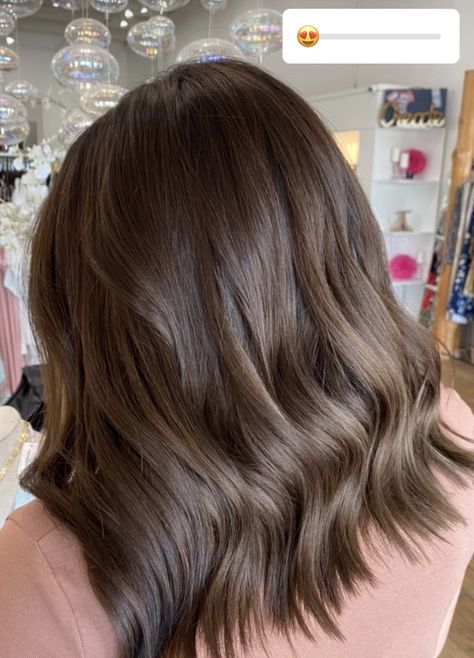 Maghony Hair With Highlights, Soft Brown Short Hair, Solid Burnett Hair Color, Medium Brown Hair No Highlights, Medium Neutral Brown Hair Color, Cool Tone Medium Brown Hair, Medium Cool Brown Hair Color, One Color Brown Hair, Cool Medium Brown Hair