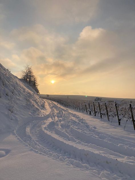 Snow Snow Day Aesthetic, Snow And Sun, Spring Snow, Wallpaper Winter, Snow In Summer, Winter Survival, I Love Snow, Snow Days, Sky Pictures