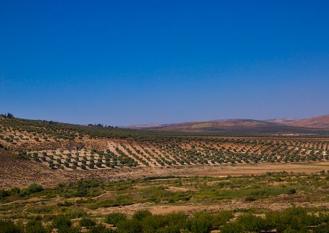 Syria Landscape, Eric Lafforgue, Syria