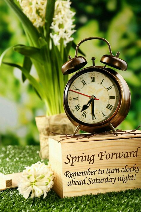 Time Change Spring Forward, Spring Forward Daylight Savings, Daylight Savings Time Spring, Spring Forward Fall Back, 1 Hour Later, Daylight Saving Time Ends, Bakery Icon, Clocks Forward, Time Aesthetic