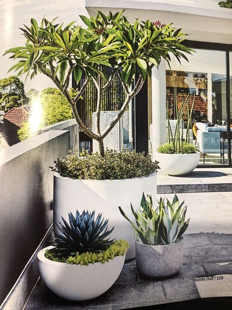 Fantastic Absolutely Free large Garden Pots Ideas You’ll find almost numerous systems for planting garden pots and urns as there are garden pots and Entryway Garden, Front Garden Landscape, Drought Tolerant Landscape, Asian Garden, Modern Garden Design, Landscape Designs, Low Maintenance Garden, Rooftop Garden, Roof Garden