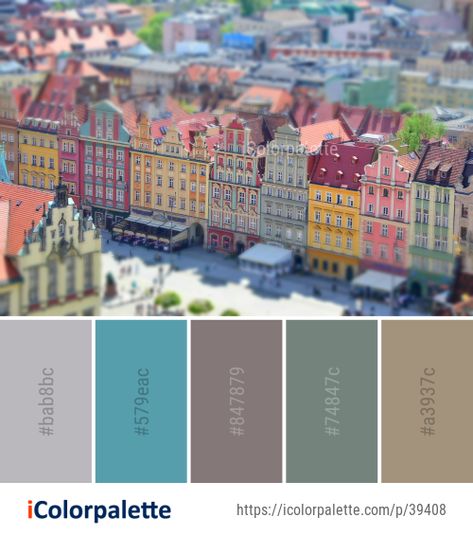 Cityscape Color Palette, Color Palette Ideas, Palette Ideas, Bird's Eye View, Urban Area, Birds Eye View, Birds Eye, Color Card, Metropolis