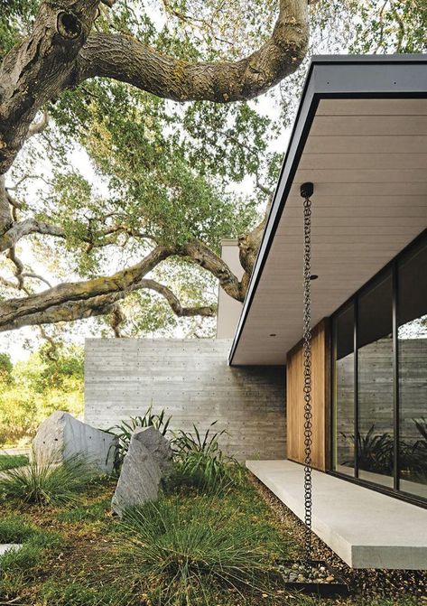 Sanctuary House, Board Formed Concrete, Urban Tree, Rain Chain, Urban Setting, Concrete Patio, Lush Garden, Architecture Photo, Design Milk