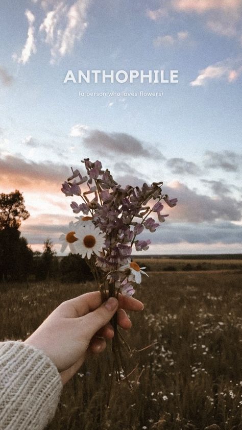 I Must Have Flowers Always And Always, Anthophile Aesthetic, Inspirational Quotes Wallpapers, Quotes Wallpapers, Beauty Aesthetic, Aesthetic Sky, Flowers Aesthetic, Story Instagram, Love Flowers