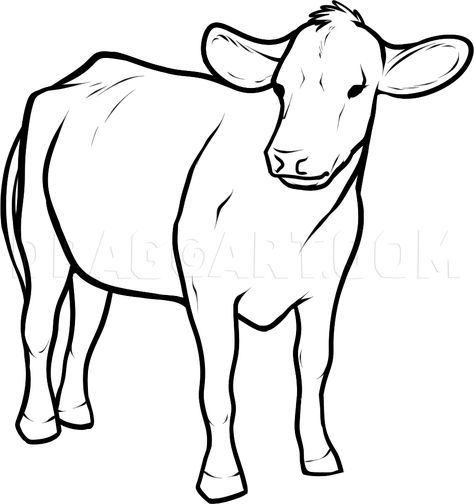 How To Draw Cattle, Step by Step, Drawing Guide, by Dawn | dragoart.com Cow Coloring Pages, Cow Drawing, Baby Coloring Pages, Cow Colour, Cow Ears, Farm Animal Coloring Pages, Cow Pictures, Coloring Pages For Boys, Printable Adult Coloring Pages