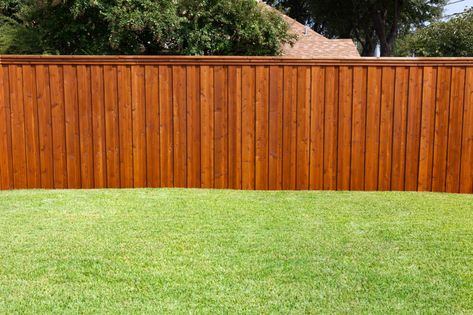 Pressure Treated Western Red Cedar Fence With Board On Board Installation Fence Options, Wood Privacy Fence, Wood Fence Design, Fence Stain, Patio Privacy, Backyard Fence, Backyard Privacy, Types Of Fences, Staining Deck