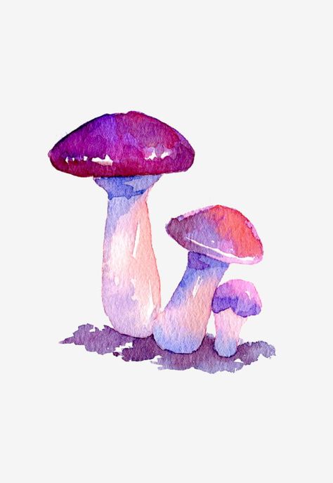 Mushrooms Watercolor, Mushroom Autumn, Painted Mushrooms, Watercolor Mushroom, Mushroom Illustration, Mushroom Clipart, Fungi Art, Hand Clipart, Mushroom Paint