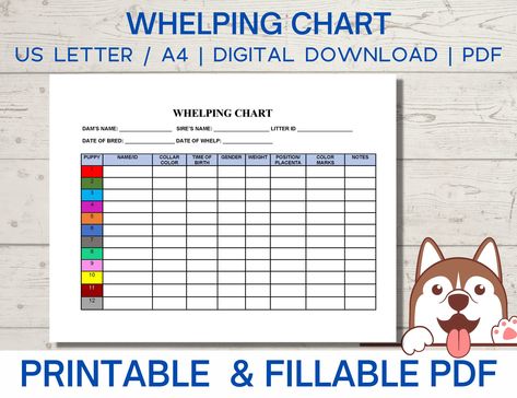 Whelping chart editable, whelping record, puppy whelping, breeder forms printable PDF instant download Dog Breeding Paperwork, Puppy Whelping Chart, Puppy Weight Chart Printable, Dog Breeding Supplies, Whelping Charts Free Printable, Puppy Breeder Setup, Dog Breeder Setup, Whelping Chart, Puppy Growth Chart