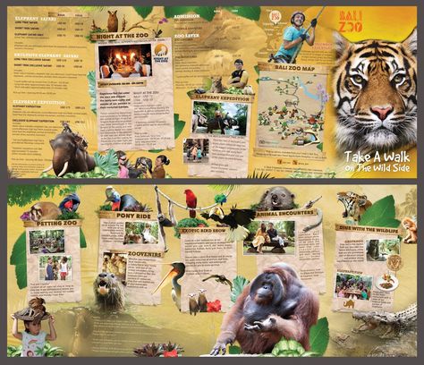 Bali Zoo's Brochure Zoo Brochure Design, Zoo Design Graphics, Zoo Flyer, Animal Brochure, Zoo Brochure, Zoo Poster Design, Zoo Map, Festival Banner, Math Clipart