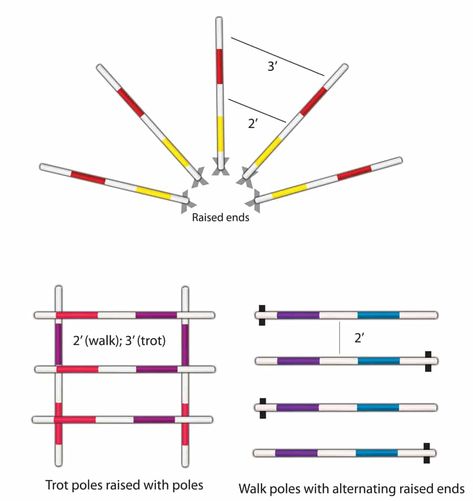 Core-Building for Better Carriage Pole Exercise, Equestrian Training, Horse Jumping Exercises, Jumping Exercises, Stable Ideas, Course Ideas, Horse Exercises, Riding School, Horse Stable