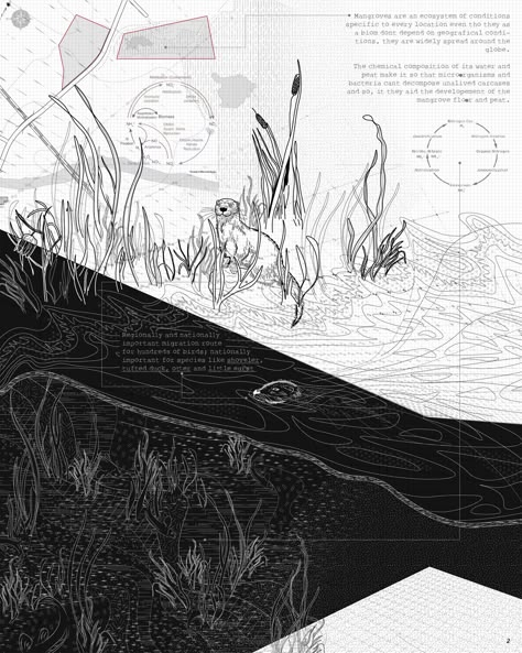 Wildlife Architecture, Marsh Landscape, Landscape Portfolio, Architecture Thesis, Landscape Architecture Graphics, The Singularity, Architecture Artists, Coastal Architecture, 포트폴리오 레이아웃