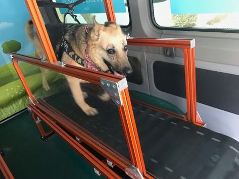 Mobile dog gym helps Valley dogs stay in shape during summer heat in Arizona. Dog Gym, Dog Transport, Dog Trailer, Dog Health Tips, Mobile Business, Van For Sale, Dog Safety, Dog Care Tips, Dog Runs