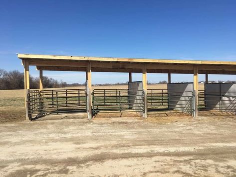 Overnight/horse hotel stalls. Great for competition or for those passing through! Outside Horse Stalls, Horse Stalls Cheap, Roping Arena, Horse Barn Ideas, Simple Horse Barns, Show Cattle Barn, Small Horse Barns, Horse Shed, Horse Pens