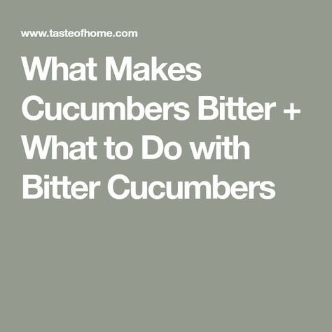 What Makes Cucumbers Bitter + What to Do with Bitter Cucumbers Bitter Cucumber, Bitter Cucumbers, Shrimp Orzo, Creamy Cucumber Salad, Creamy Cucumbers, Greek Salad Recipes, Greek Flavors, Refreshing Salad, Cucumber Recipes