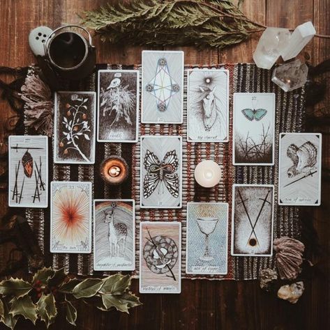 카드 디자인, Season Of The Witch, Witch Aesthetic, Practical Magic, Witchy Vibes, Tarot Readers, Interstellar, Oracle Cards, Tarot Spreads