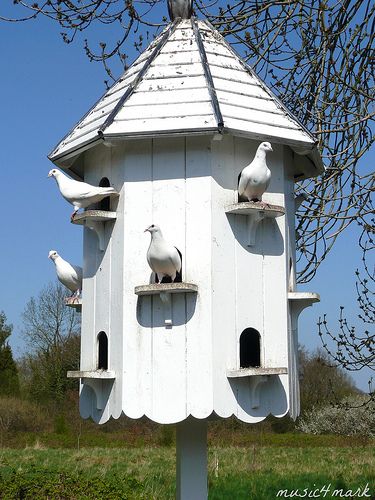 The Dovecote | music4mark | Flickr Dove House, Pigeon House, Homemade Bird Houses, Bird Tables, Bird Houses Ideas Diy, Beautiful Birdhouses, Garden Birdhouses, Bird House Feeder, Bird House Plans