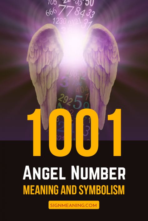 Angel Number 1001 Meaning, 1001 Angel Number Meaning, Angel Signs Numbers, 1001 Angel Number, Angel Number Meaning, Angel Signs, Sign Meaning, Angel Number Meanings, Meditation Mantras