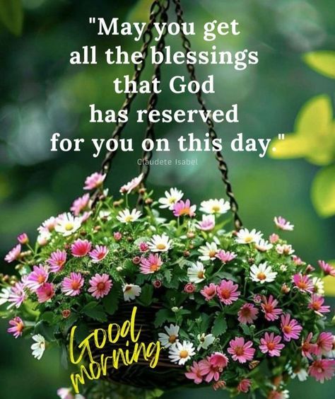 Blessed Morning Wishes, Good Bless You, Good Morning Have A Blessed Sunday, Have A Blessed Day Inspiration, Wishing You A Beautiful Day, Good Morning Prayers And Blessings, Good Morning God Bless You, Good Morning Blessings Inspiration Beautiful, Good Morning Blessings Prayer