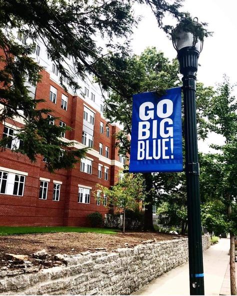 Kentucky University Aesthetic, University Of Kentucky Aesthetic, Academia Barbie, Kentucky Aesthetic, Reed Sheppard, University Of Kentucky Campus, Uk Door, University Of Kentucky Football, University Of Ky