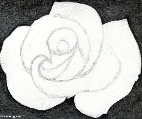 How to Draw a Pretty Rose - FinalProdigy.com Pretty Rose, Roses Drawing, Pretty Roses, To Draw, Drawings, Flowers