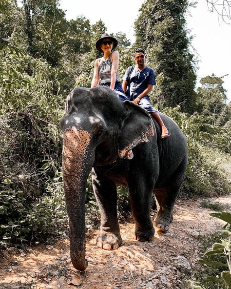 A very special moment during our Thailand adventures... A dream come true to spend the day @phangnga_elephant_park, feeding, bathing and… Bali Shopping, Elephant Park, Thailand Adventure, Denpasar, Seminyak, A Dream Come True, Bali Travel, Ubud, Beach Fun