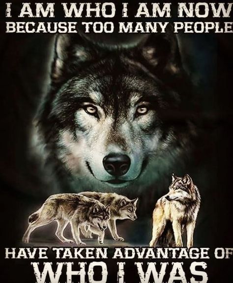 Quotes Warrior, Wolf Pack Quotes, Lone Wolf Quotes, Dragon Quotes, Wolf Quotes, Wolf Spirit Animal, She Wolf, Wolf Wallpaper, Wolf Pictures