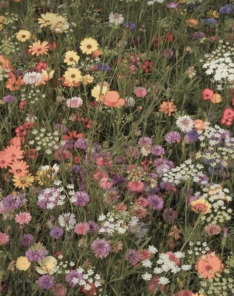 Earthy Flowers, Keyboard Ideas, Flower Picking, Mood Bored, Flower Picks, Vintage Flowers Wallpaper, Spring Wallpaper, Dark Wallpaper Iphone, Nature Aesthetic