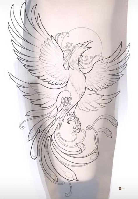 Bird Legs Drawing, Drawing Of A Bird, Drawing Tattoo Ideas, Legs Drawing, Tattoos Sketches, Phoenix Drawing, Phoenix Tattoo Feminine, Phoenix Bird Tattoos, Phoenix Tattoo Design