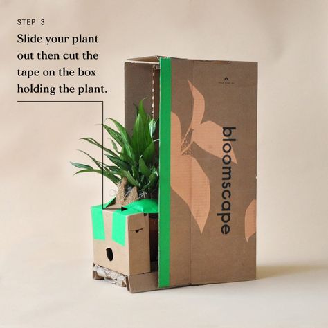 Welcoming Your New Plant Home | Bloomscape Delivery Packaging, Plant Home, Eco Packaging, Plant Box, Plant Gift, Craft Packaging, Plant Delivery, Grow Kit, Creative Gift Wrapping