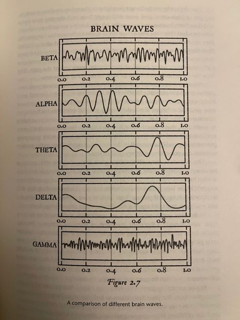 Alpha Frequency, Brain Frequencies, Frequency Waves, Delta Waves, Theta Waves, Healing Journal, Alpha Waves, Physics Notes, Frontal Lobe