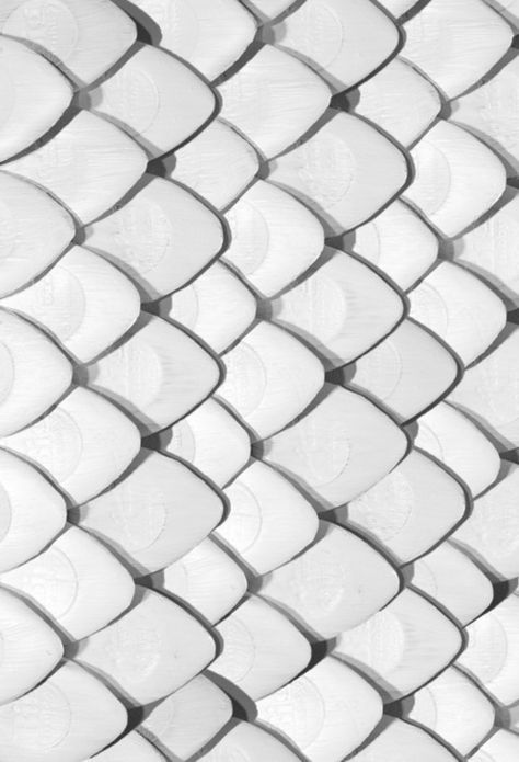 3d Cnc, Texture Inspiration, Organic Forms, Material Textures, 3d Texture, Fish Scales, Materials And Textures, White Texture, Shades Of White