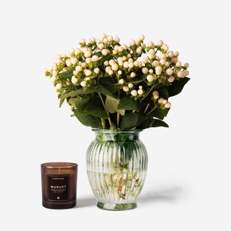 Christmas Gifting|Holiday|FLOWERBX White Hypericum, White Rose Plant, Flowers With Vase, Flower Vase Gift, Peace Lily Plant, Poinsettia Plant, Lily Plants, Luxury Winter, Tulips In Vase