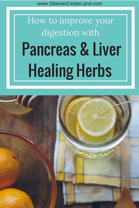 Incorporating Pancreas Healing herbs into your diet is crucial for proper digestion and absorption. Although Tiny and generally unnoticed, your pancreas plays one of the most important roles in the digestive and endocrine process. #pancreasherbs #pancreas #liverherbs #liversupport #herbsforliver #herbsforpancreas #indigestion #digestion #dispepsia #malabsorption #gainweight Pancreatic Diet Recipes, Liver Herbs, Pancreas Health, Food Recipes Vegetarian, Heal Liver, Better Digestion, Liver Diet, Herbs For Health, Kidney Health