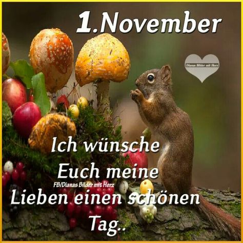 Hallo November, Neuer Monat, No Vember, November Quotes, Halloween Kunst, 1 November, Pins