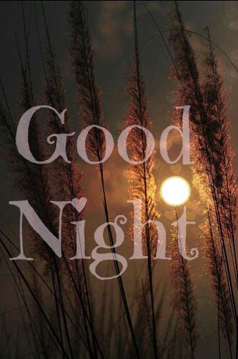 good night card Sweet Dream Quotes, Good Night Cards, Good Night Wallpaper, Slaap Lekker, Good Night Friends, Good Night Gif, Good Night Blessings, Night Messages, Good Night Greetings